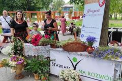 Miechow-wianki-2022-37