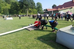 Zawody sportowo - pożarnicze - Falniów 2017Zawody sportowo - pożarnicze - Falniów 2017