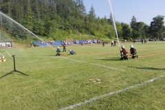 Zawody sportowo - pożarnicze - Falniów 2017