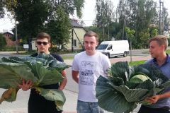 20200913_KapKonkurs_03b