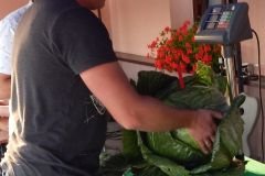 20200913_KapKonkurs_44