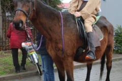 2023-Niedziela-Palmowa-w-Kozlowie-112