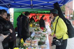 2023-Niedziela-Palmowa-w-Kozlowie-38