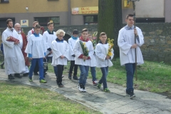 Niedziela Palmowa - Książ Wielki 2017 - miechowski.pl