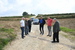 2021-09-14-I-etap-poscaleniowek-Chodow-05