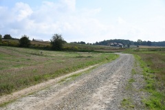 2021-09-14-I-etap-poscaleniowek-Chodow-06