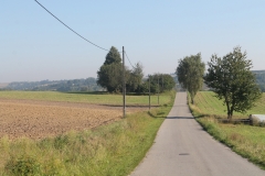 IMG_1921