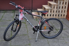 Piknik Rodzinny w Przybysławicach