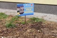 Pola-Nadziei-Kozlow-02