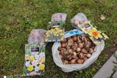 Pola-Nadziei-Kozlow-07