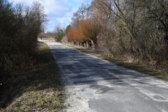 Droga Powiatowa w Rogowie będzie przebudowana w ramach Rządowego Funduszu Rozwoju Dróg 2022