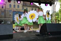 2023-06-25-Malopolskie-kulturalno-muzyczne-powitanie-wakacji-245
