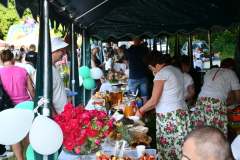 2023-06-25-Malopolskie-kulturalno-muzyczne-powitanie-wakacji-489
