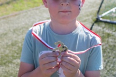 GOK-Kozlow-powitanie-wakacji-2022-76