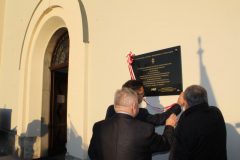 IMG_8235_800x533