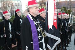 IMG_8337_800x533