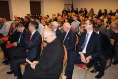 IMG_8386_800x533