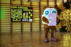 SP-1-Miechow-odblaski-04