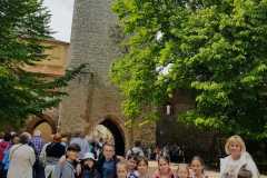 347252454_1276583789902512_8222238361280455405_n1