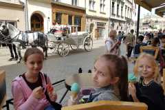 347384272_263946456114275_794397748604073562_n