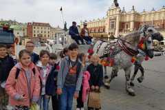 347387274_279228624525775_4969520456982360177_n