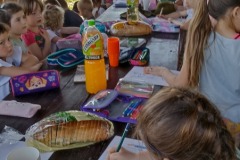 SP-Anolka-lekcja-przyrody-z-kolem-Sosnowka-04