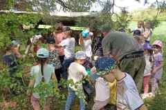 SP-Anolka-lekcja-przyrody-z-kolem-Sosnowka-08