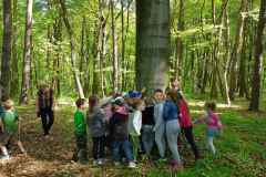 SP-Antolka-lekcja-przyrody05