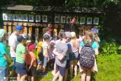 SP-Antolka-Chrusty-03