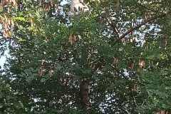 SP-Antolka-zajecia-z-OSP-Lazy-02