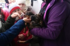 79036925_1213882788821302_4187077421171736576_n