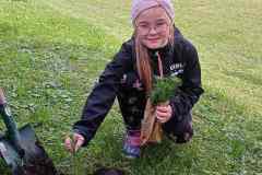 SP-Ksiaz-Maly-sadzenie-drzew-01