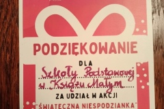 SP-Ksiaz-Maly-akcja-hospicjum-01