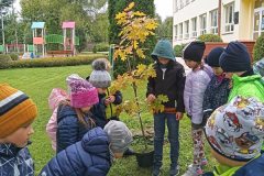 SP-Ksiaz-Maly-eko-04