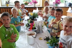 SP-Ksiaz-Maly-eko-06