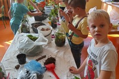 SP-Ksiaz-Maly-eko-07