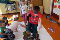 SP-Ksiaz-Maly-eko-08