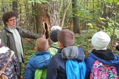 SP-Ksiaz-Maly-spotkanie-z-lesnikiem-08