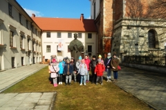 DSCN0131
