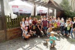 DSCN0549