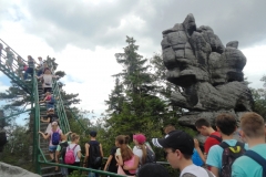 DSCN0867