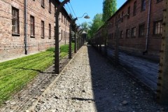 SP-Ksiaz-Maly-wycieczka-do-Oswiecimia-18