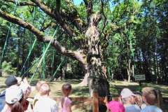 IMG_20190611_101213