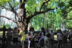 IMG_20190611_101618