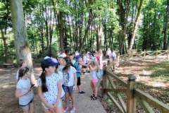 IMG_20190611_101906