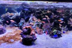 IMG_20190611_131247