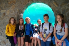 IMG_20180612_110355