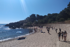 4D8DA02AB1FA4BF5AB2D68971E152C00