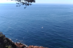 F4BEEEF8E877448EAC0B899B09254E80