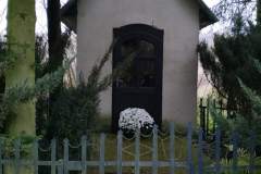 Rozwijamy-Pasje-kwiaty-ARiMR-08